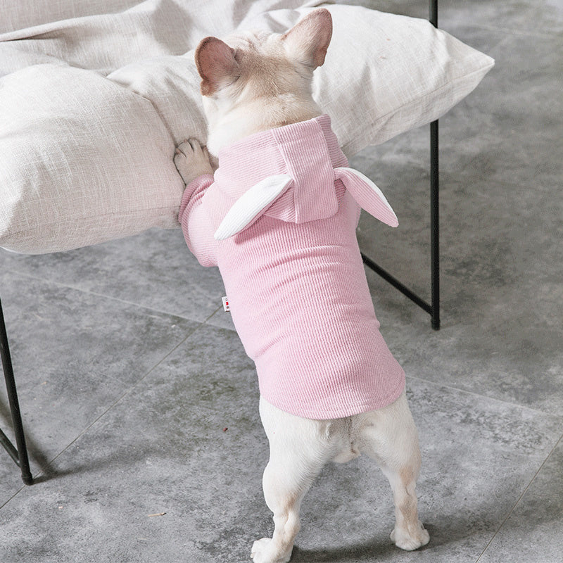 Spring & Autumn Dog Clothing | Cozy, Stylish Pet Outfits – LuxeHaven