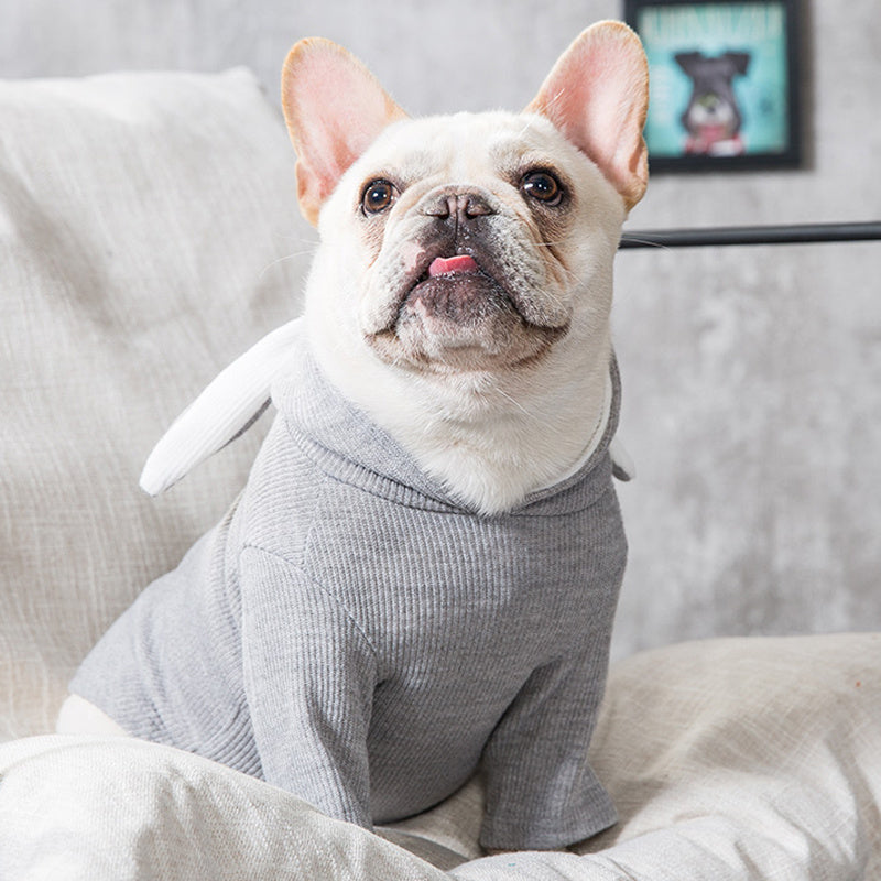 Spring & Autumn Dog Clothing | Cozy, Stylish Pet Outfits – LuxeHaven