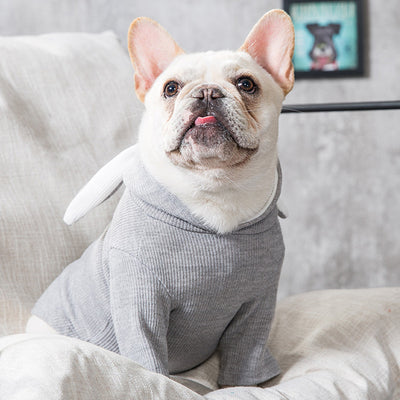 Spring & Autumn Dog Clothing | Cozy, Stylish Pet Outfits – LuxeHaven