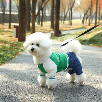 Small dog wearing LuxeHaven four-legged cozy winter sweater.