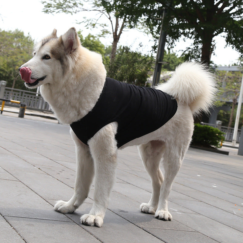 Summer Dog T-Shirt XS–5XL | Breathable, Lightweight Vest for Small & Medium Dogs – LuxeHaven