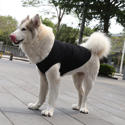 Summer Dog T-Shirt XS–5XL | Breathable, Lightweight Vest for Small & Medium Dogs – LuxeHaven