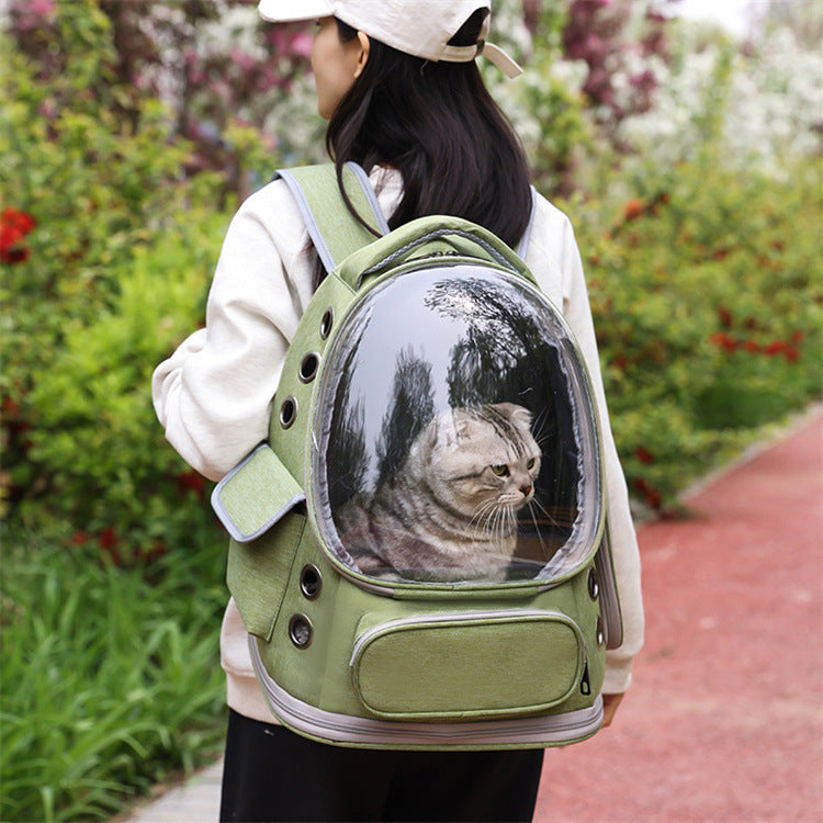 Cat sitting inside LuxeHaven transparent space capsule pet backpack.