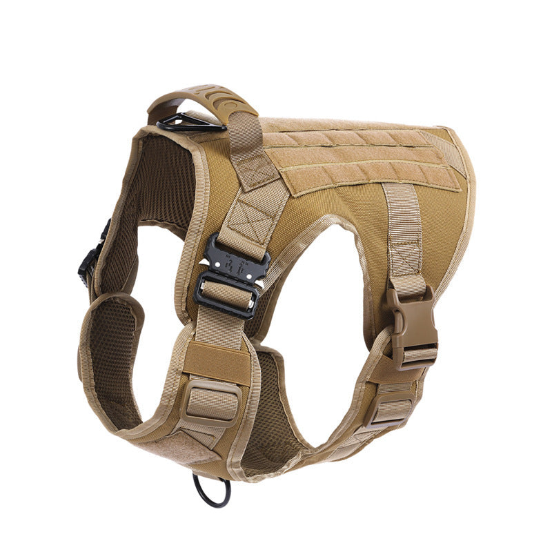 Dog wearing LuxeHaven nylon tactical vest for training and outdoor walks.
